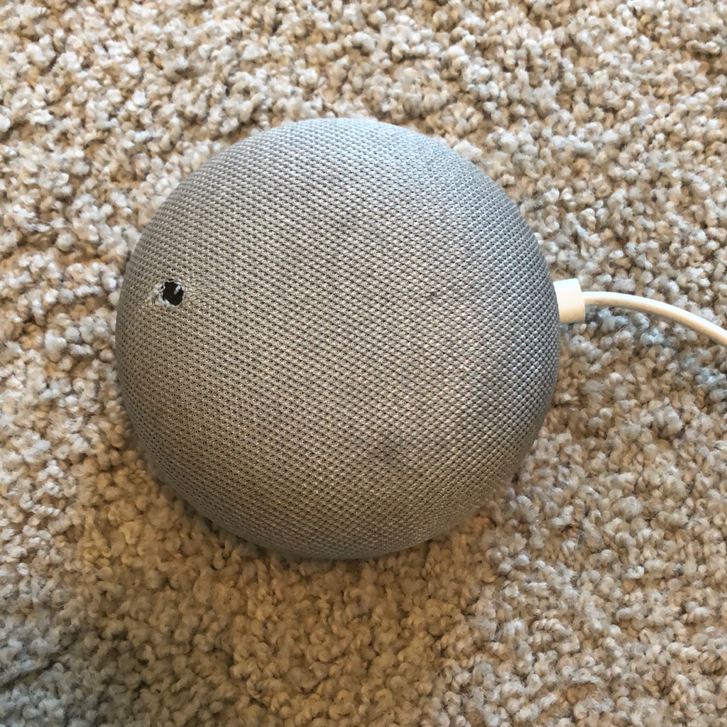 Google Home Mini